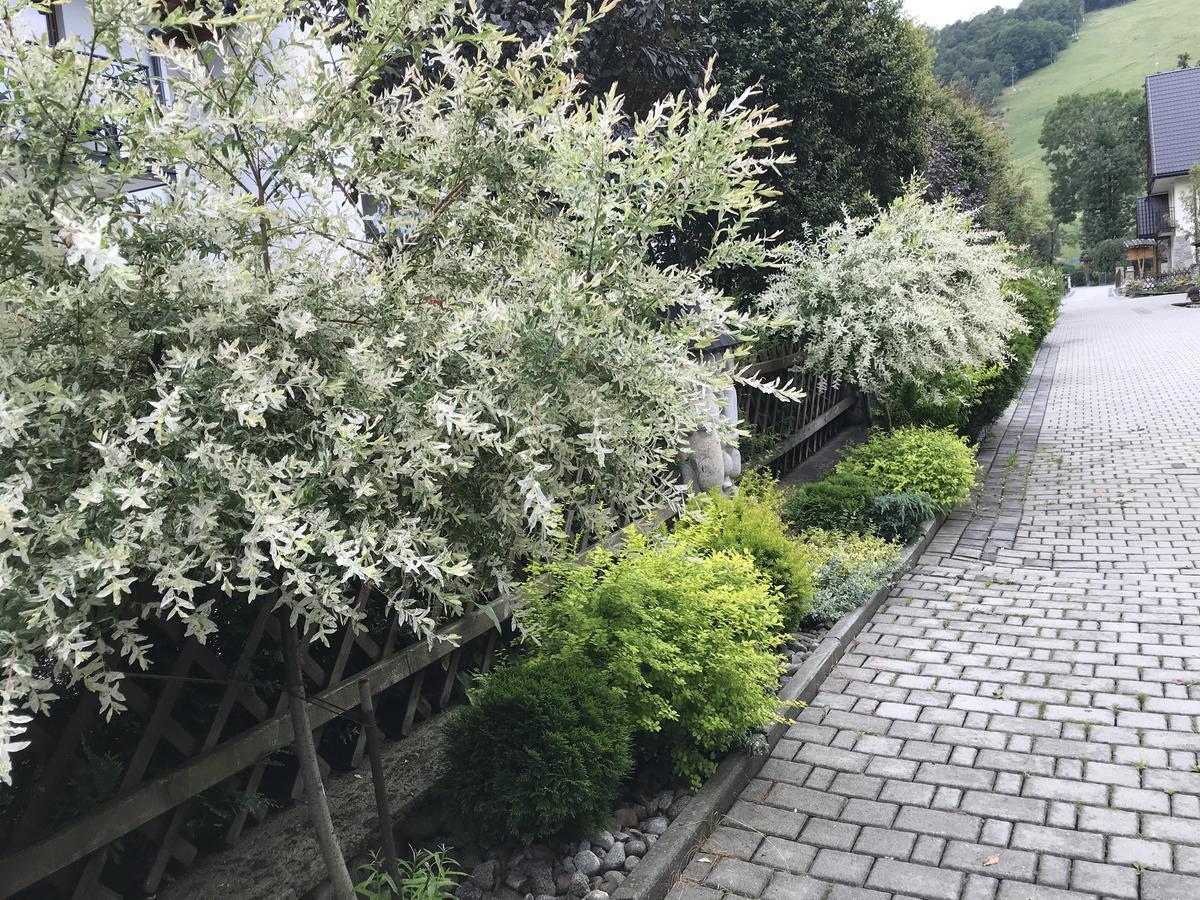 豪斯娜查路帕维娜普凯民宿 扎科帕内 外观 照片